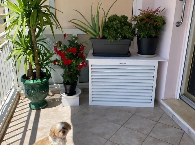 Les Pervenches * Cannes